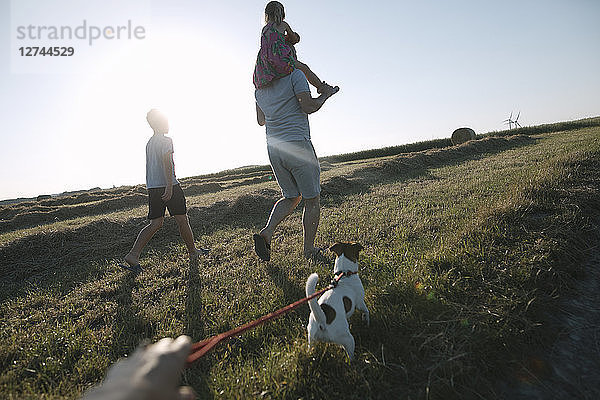 Familiy walking with Jack Russel Terrier on a field at sunset