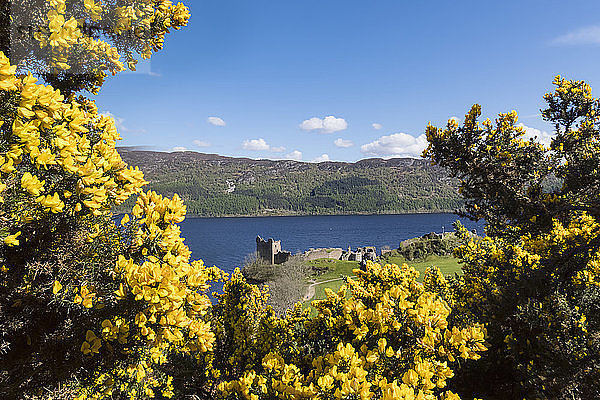 UK  Scotland  Loch Ness  Drumnadrochit  Urquhart Castle