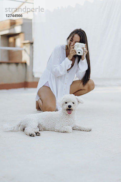 Portrait of white dog lying on roof terrace while young woman in the background taking photo