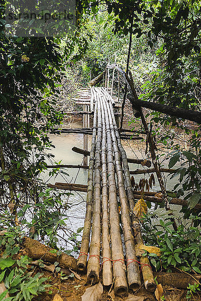 Laos  Vang Vieng  bridge over river in the jungle