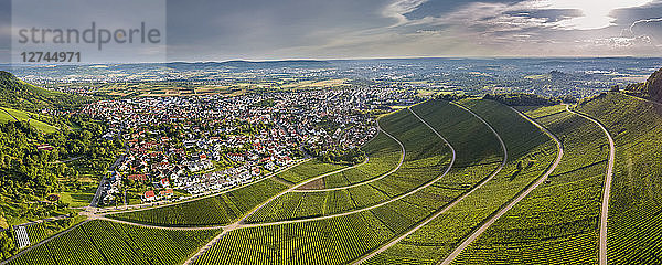 Germany  Baden-Wurttemberg  Rems Valley  Korb with vineyards at the Korber Kopf