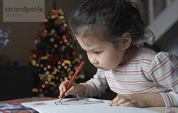Little girl with sketch block at Chrismas time