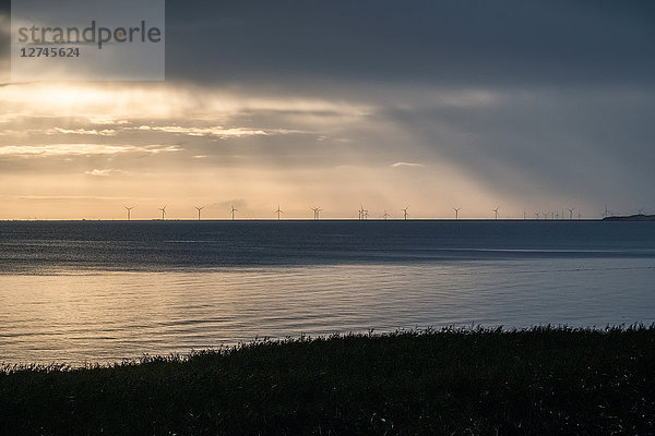 Hindenburgdamm  Schleswig-Holstein  Deutschland  Europa