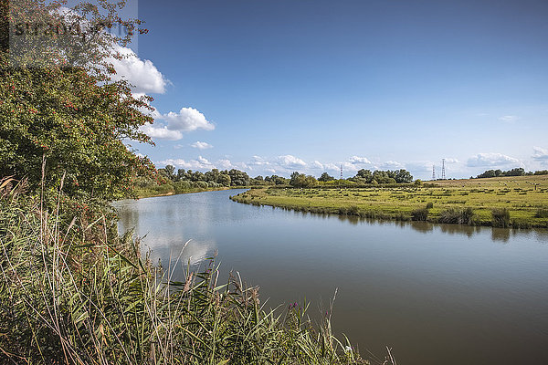 Haseldorfer Marsch  Kreis Pinneberg  Schleswig-Holstein  Deutschland  Europa