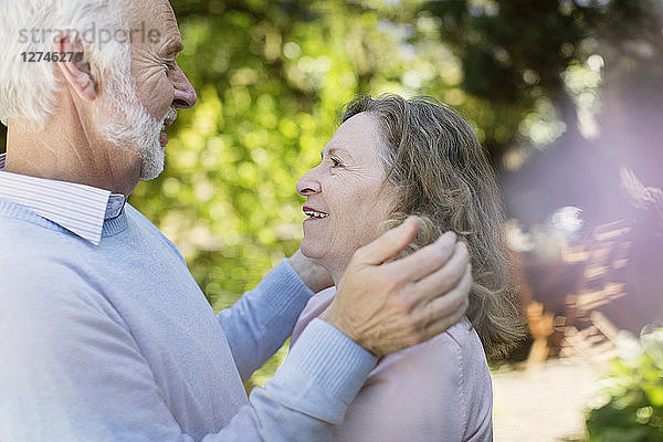 Affectionate senior couple hugging