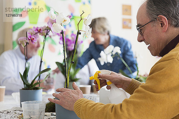 Active senior man with spray bottle watering orchid in flower arranging class