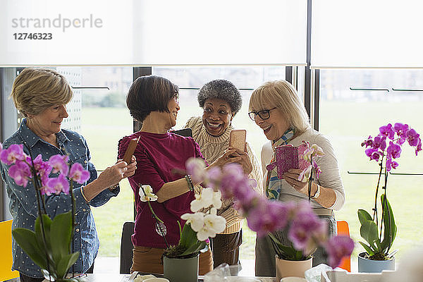 Happy senior women with camera phones enjoying flower arranging class