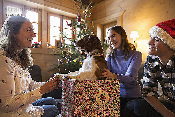 Glückliche Familie mit Hund in Weihnachtsgeschenkbox