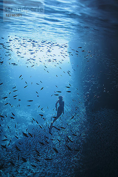 Frau beim Schnorcheln unter Wasser zwischen Fischschwärmen  Vava'u  Tonga  Pazifischer Ozean