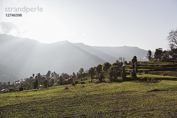 Sonnige  ruhige Aussicht  Supi Bageshwar  Uttarakhand  Vorgebirge des indischen Himalayas
