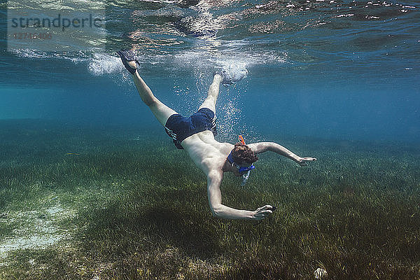 Junger Mann beim Schnorcheln unter Wasser  Vava'u  Tonga  Pazifischer Ozean