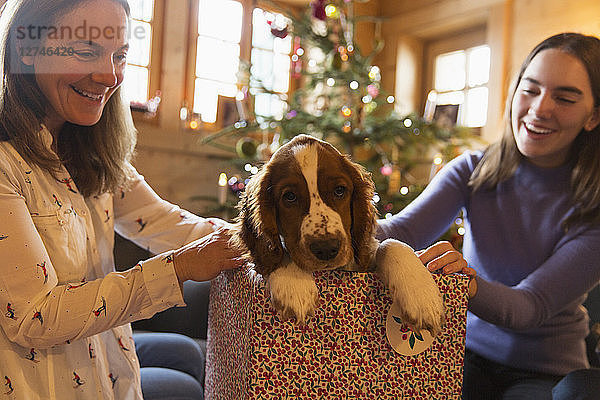 Mutter und Tochter spielen mit Hund in Weihnachtsgeschenkbox