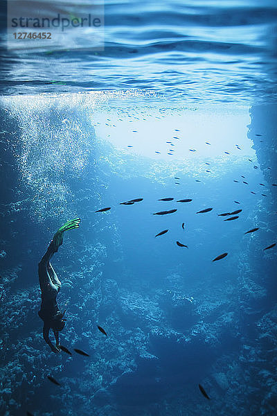 Junge Frau beim Schnorcheln unter Wasser zwischen Fischen  Vava'u  Tonga  Pazifischer Ozean