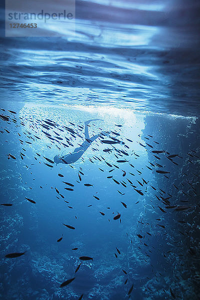 Frau beim Schnorcheln unter Wasser zwischen Fischen  Vava'u  Tonga  Pazifischer Ozean