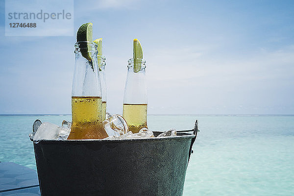 Limettenscheiben in Bierflaschen auf Eis an einem ruhigen Strand  Malediven  Indischer Ozean