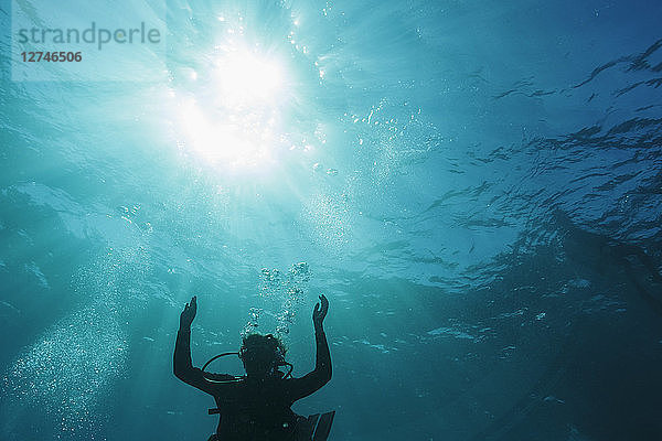 Frau beim Tauchen unter Wasser  Vava'u  Tonga  Pazifischer Ozean
