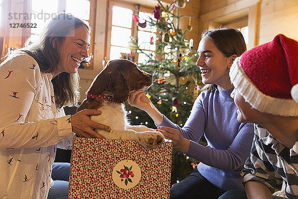 Familie spielt mit Hund in Weihnachtsgeschenkbox