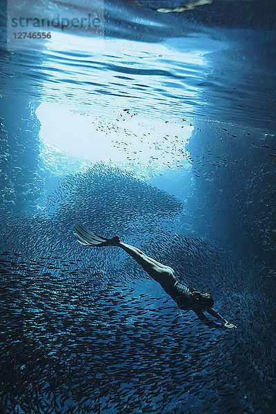 Junge Frau beim Schnorcheln unter Wasser inmitten von Fischschwärmen  Vava'u  Tonga  Pazifischer Ozean