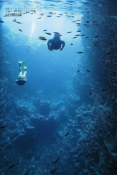 Mann und Frau beim Schnorcheln unter Wasser zwischen Fischen  Vava'u  Tonga  Pazifischer Ozean