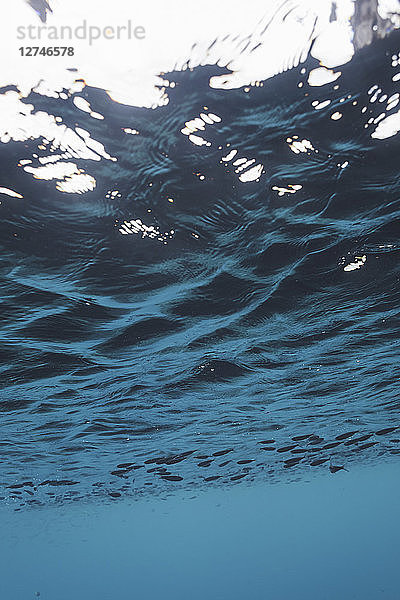Ruhiges blaues Meerwasser unter Wasser  Vava'u  Tonga  Pazifischer Ozean