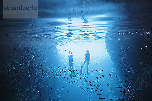 Paar beim Schnorcheln unter Wasser zwischen Fischen  Vava'u  Tonga  Pazifischer Ozean