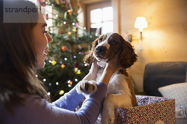 Teenager-Mädchen streichelt süßen Hund in Weihnachtsgeschenk-Box