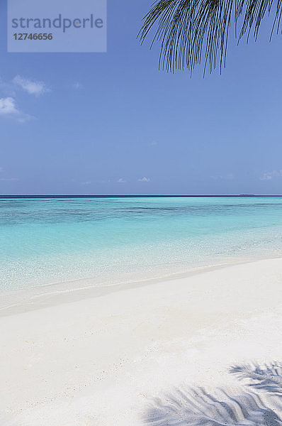 Ruhiger  sonniger Strand und blauer Ozean  Malediven  Indischer Ozean