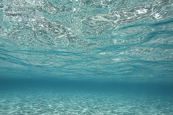 Unterwasseransicht ruhiger blauer Ozean  Vava'u  Tonga  Pazifischer Ozean