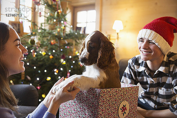 Bruder und Schwester spielen mit Hund in Weihnachtsgeschenkbox