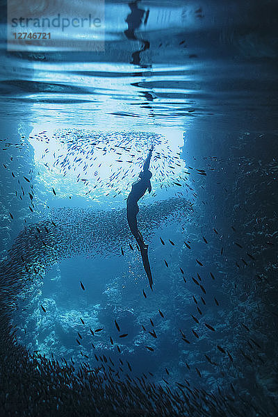 Junge Frau beim Schnorcheln zwischen Fischschwärmen unter Wasser  Vava'u  Tonga  Pazifischer Ozean