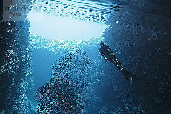 Junge Frau beim Schnorcheln unter Wasser zwischen Fischschwärmen  Vava'u  Tonga  Pazifischer Ozean