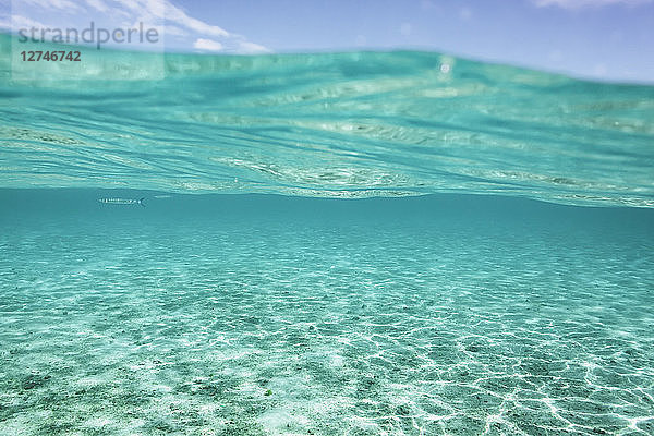 Ruhiger blauer Ozean und Wasseroberfläche  Vava'u  Tonga  Pazifischer Ozean