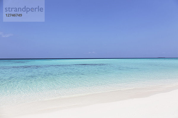 Ruhiger  sonniger Strand mit blauem Meer  Malediven  Indischer Ozean