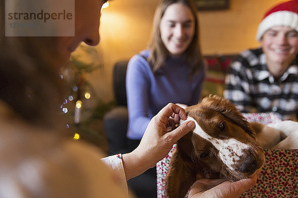 Familie streichelt Hund im Weihnachtswohnzimmer