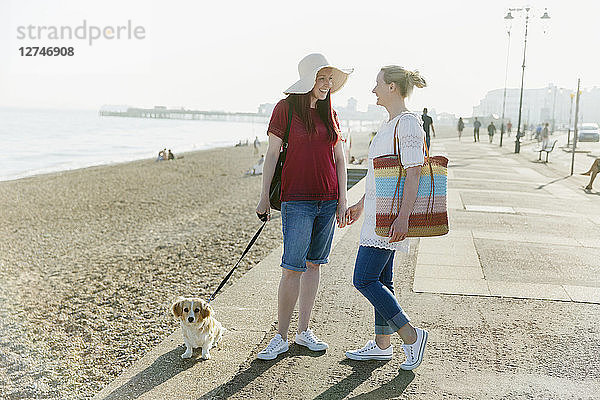 Lesbian couple with dog on sunny beach boardwalk