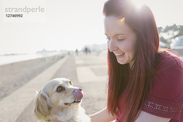 Woman with cute dog on sunny beach boardwalk