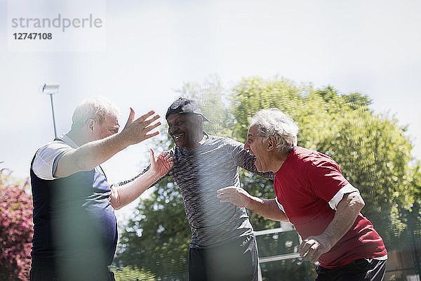 Happy active senior men friends celebrating ins sunny park