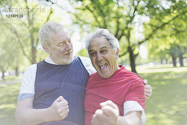 Exuberant active senior men friends cheering in park