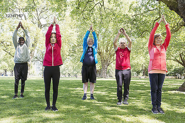 Active seniors exercising  practicing yoga in park