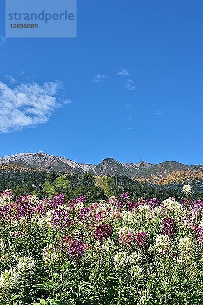 Präfektur Nagano  Japan