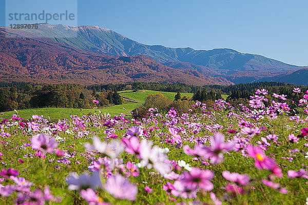 Präfektur Yamagata  Japan