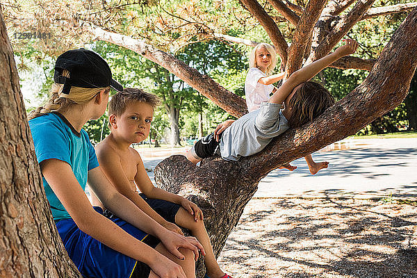 Kinder entspannen sich auf einer Baumgabel im Park