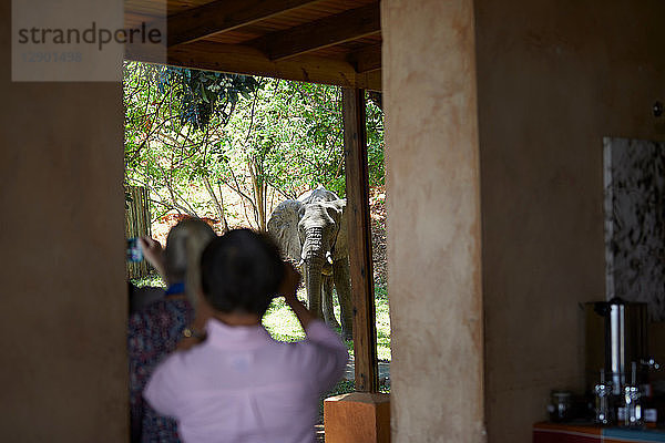 Touristen beim Fotografieren von Elefanten  Sambesi  Sambia