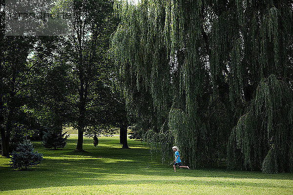 Junge spielt unter Weidenbaum
