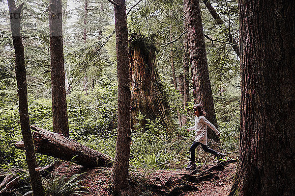 Mädchen wandert im Wald  Tofino  Kanada