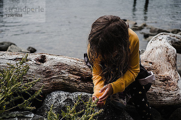 Mädchen entdeckt die Natur auf dem Seeweg  Tofino  Kanada