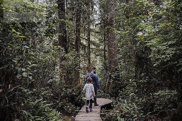 Vater und Tochter wandern im Wald  Tofino  Kanada