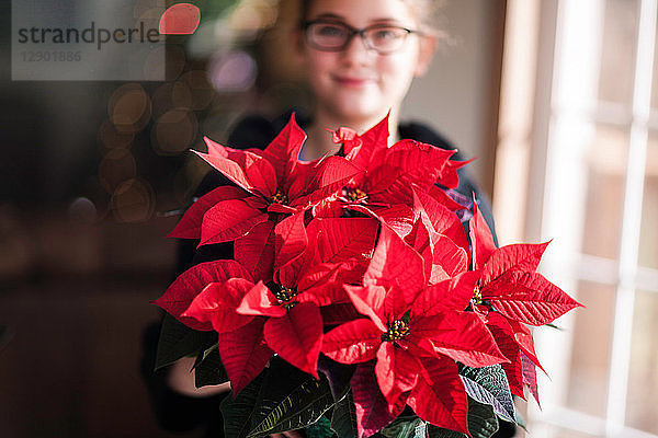 Mädchen hält Weihnachtspoinsettie im Wohnzimmer  Porträt