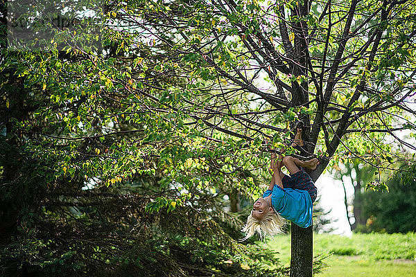 Junge kopfüber am Baum hängend