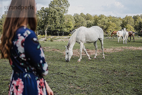 Frau sieht Pferde an